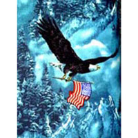 5156 ANIMALS EAGLE 101 BIRDS FABRIC PATTERN