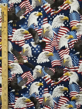 4366 EAGLES FLAG