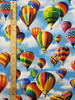 2095 HOT AIR BALLOON