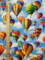 2095 HOT AIR BALLOON