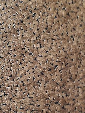 4040 COFFEE BEANS