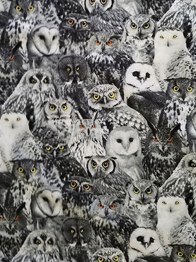 5162 PACKED OF OWLS