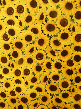 5645 SUNFLOWERS