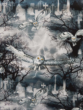 1344 OWLS IN THE GRAVEYARD