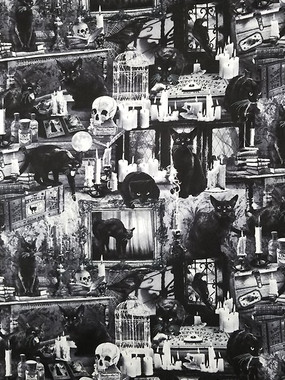 1345 BLACK CATS HUNTED HOMES