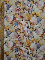 5636 BEACHES SHELLS