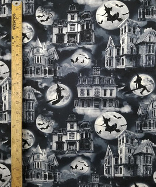 1376 WITCHES FLYING AND HUNTED HOUSE