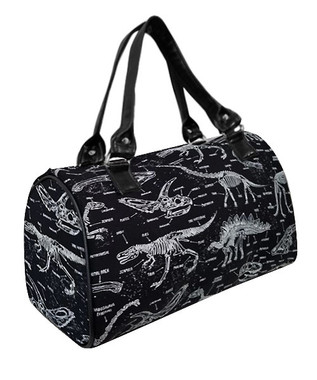 DRB 5178 DINOSAURS SKELETON GLOW