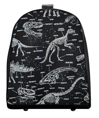 MIBP 5178 DINOSAUR SKELETON