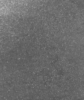 8213 SHINY SHIMMERING SILVER