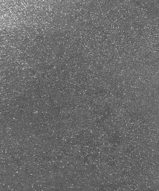 8213 SHINY SHIMMERING SILVER