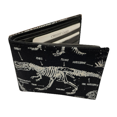 UNWW 5178 DINOSAUR SKELETON