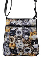 CSOP 5192 PACKED OF CATS