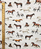 5196 WILD HORSE RACING