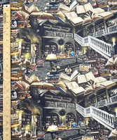 1395 MAGIC HAUNTED LIBRARY