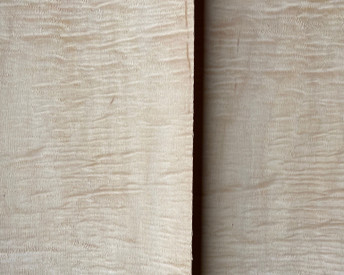 Curly Maple Midsize 10-Pack 