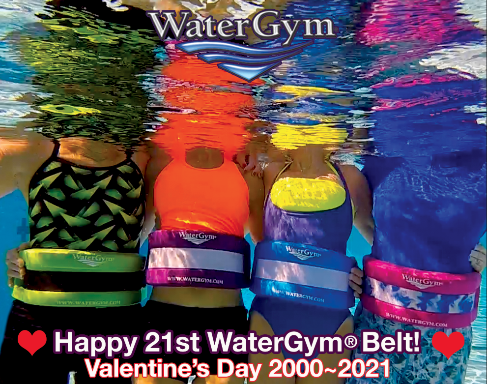 watergym water aerobic float belt in blue purple pink and lime green colors