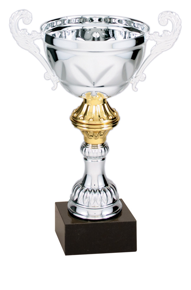 Silver Gold Trophy Cup Classic Golf Of The Carolinas