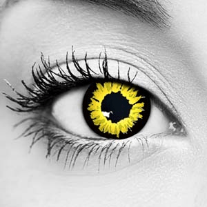 black wolf fx contact