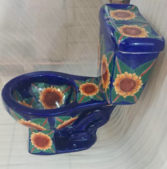 mexican toilet with sunflower design
