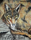 tile mural coyote