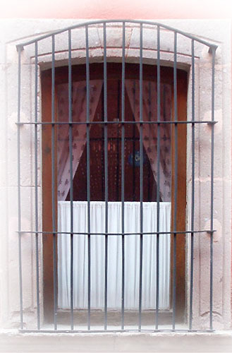 Southeastern forged iron window guards