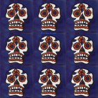 Southern Mexican tiles white terracotta