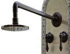 hacienda bronze shower head