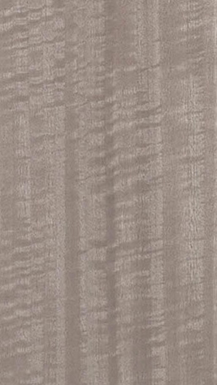 Dyed Light Grey Figure Qtd. Eucalyptus Profile
