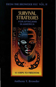 SARVIVAL STRATEGIES FOR AFRICANS IN AMERICA