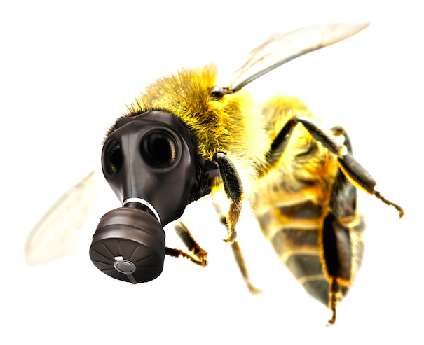 trump-take-the-gas-mask-off-this-bee.jpg