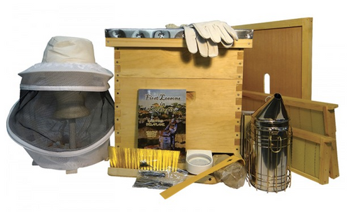 Bee Keeper 10 Frame Starter Kit All You Need To Get Going
