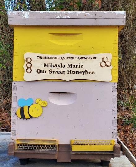 Adopt A Hive Operation Honey Bee