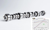 Titan 1 LS Truck Camshaft (208/214-110+4)