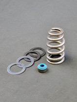 Valve Spring Kit for 6.2 & 6.4 Gen 3 Hemi (except Demon)