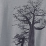 Look Deep Trees Men's Crew Graphite
