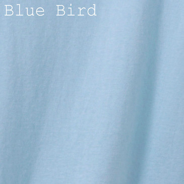 Solid Blue Bird