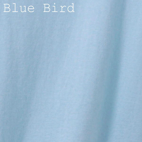 Solid Blue Bird