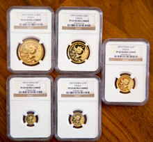 1991 Proof 5 Coin Set 100, 50, 25, 10, 5 Yuan   ULTRA CAMEO P   Gold Panda NGC PF69