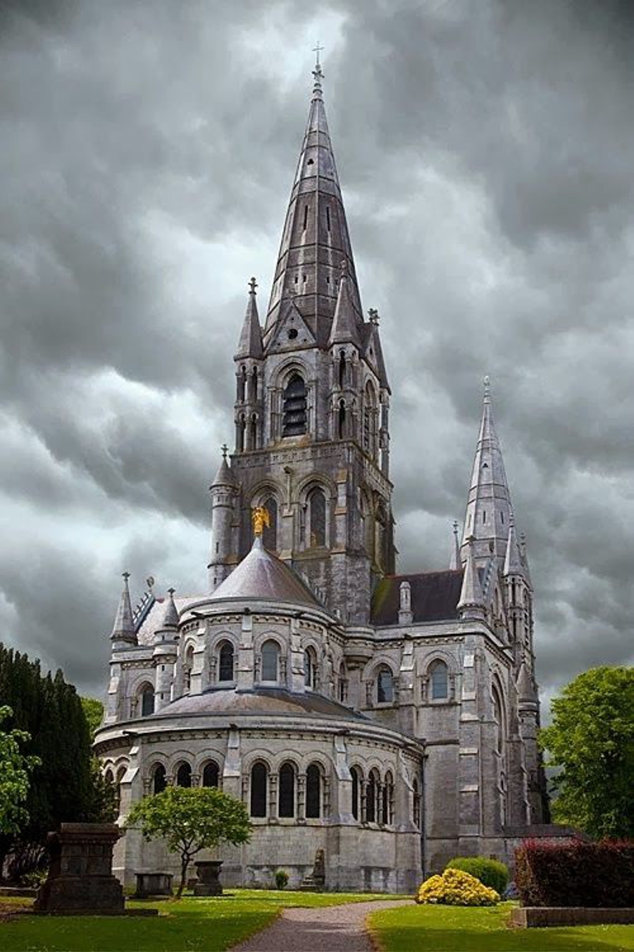 Saint Fin Barre's Cathedral, City of Cork, Ireland The Irish Rose
