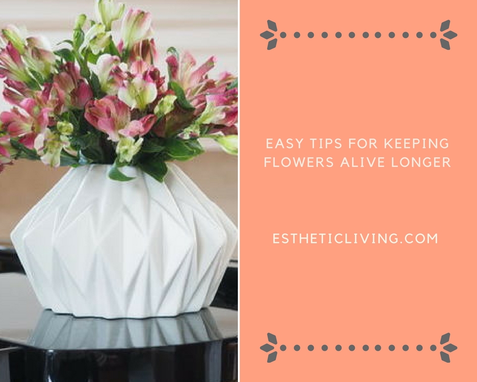 Q+ A: How to Keep Your Flowers Alive Longer - Esthetic Living