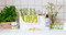 Swedish dishcloth 100% biodegradable 7 by 8 inches