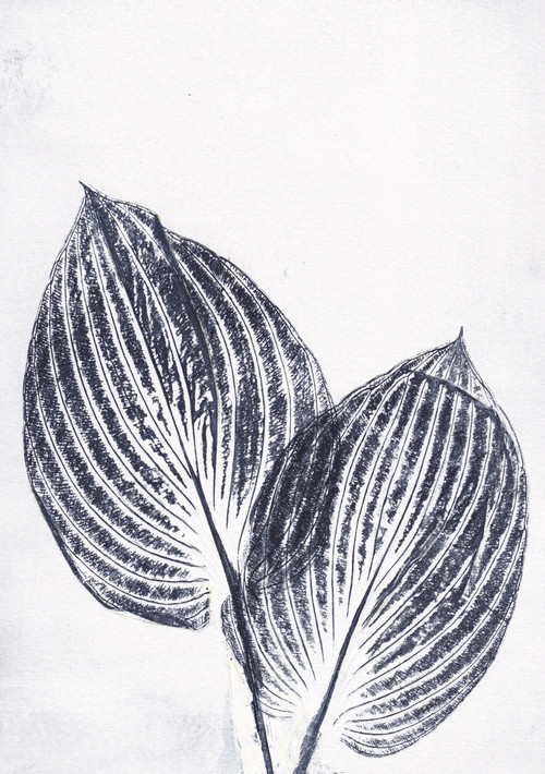 Contemporary- Linen - Wall Hanging - Hosta - Blue - 26" x 35.75"