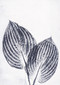 Contemporary- Linen - Wall Hanging - Hosta - Blue - 26" x 35.75"