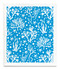 Swedish dishcloth 100% biodegradable 7 by 8 inches, Coral turquoise by Jangneus