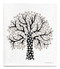 Jangneus Swedish dishcloth, Tree Black, 100% biodegradable Jangneus Swedish dishcloth, Tree Black, 100% biodegradable