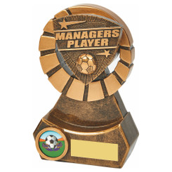 Managers Player Resin Award - 14cm