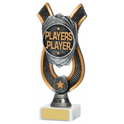 Players Player Award - 18cm