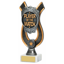Player of the Match Award - 18cm