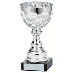 Silver Bowl Award - 21cm